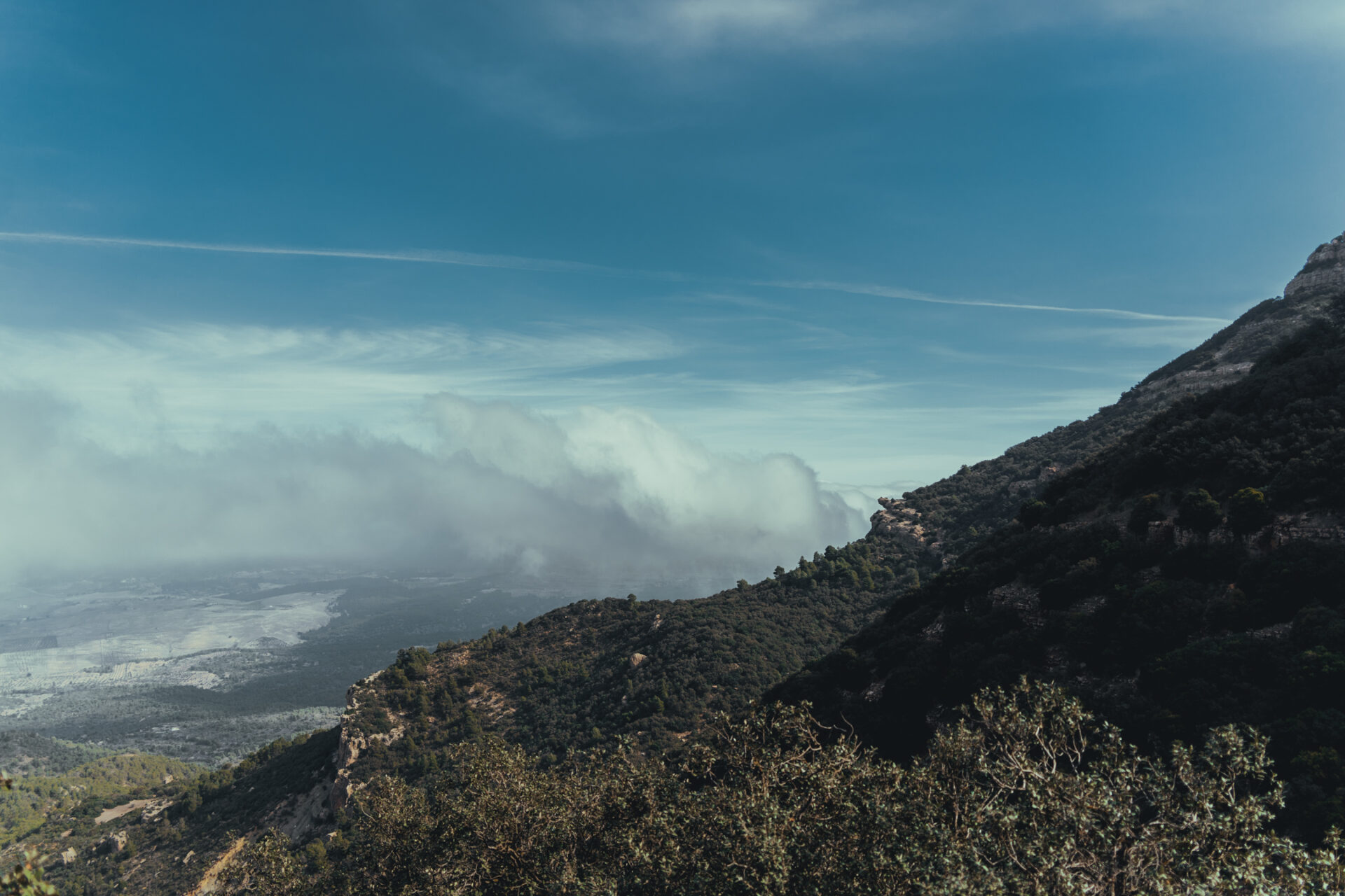 MOUNTAIN